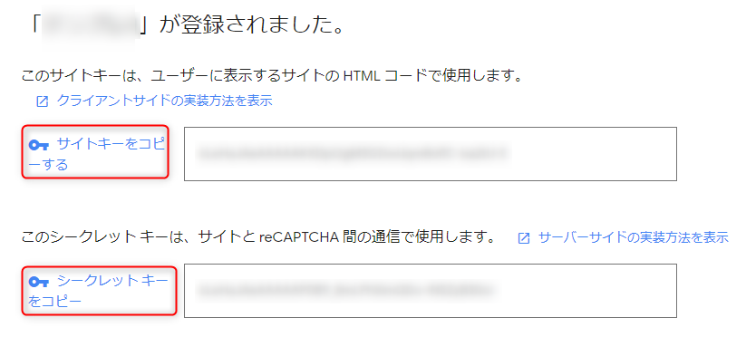 recaptcha02.png